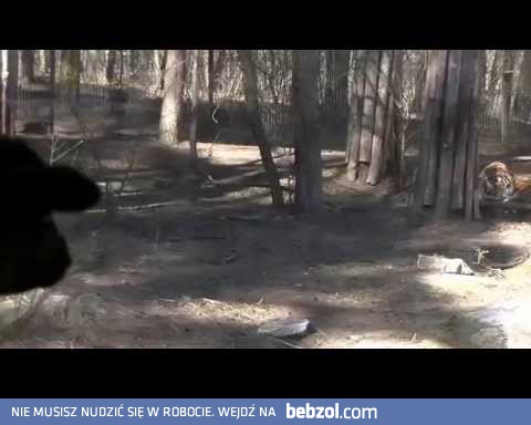 Mała Zosia w zoo