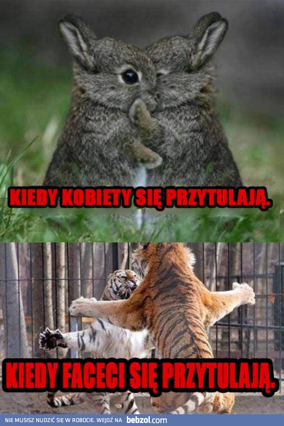 Jak się tulimy