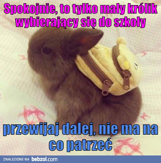 Wszystko pod kontrolą