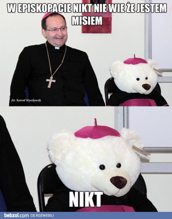 Miś
