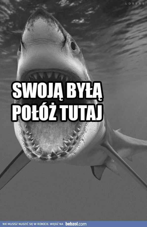 Wklej zdjęcie tutaj