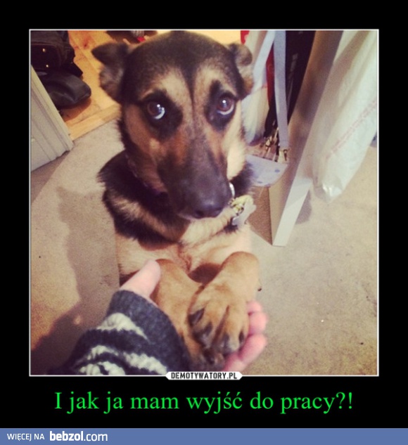 Te oczy :D