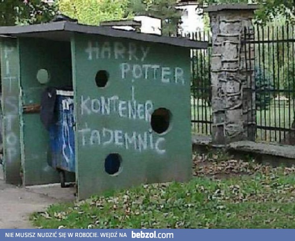 Polskie przygody Harry'ego Pottera