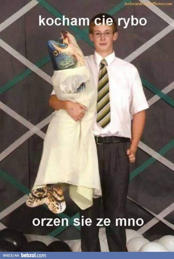 Kocham cię rybo