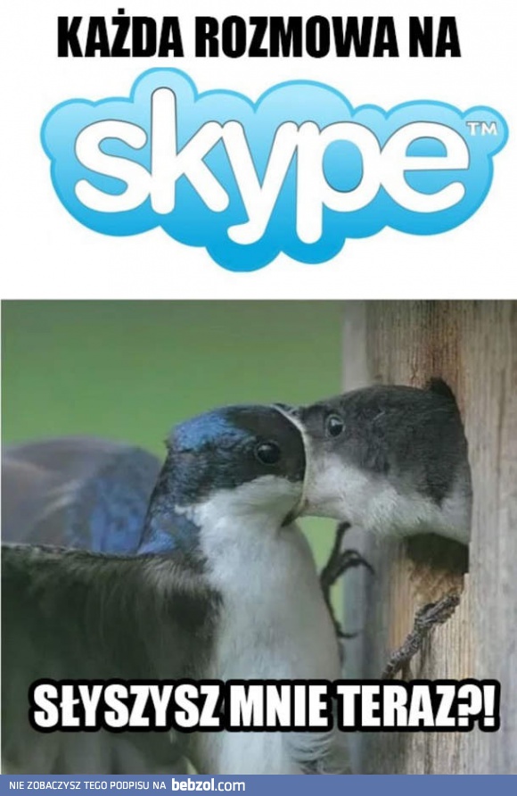 Typowa rozmowa na Skype