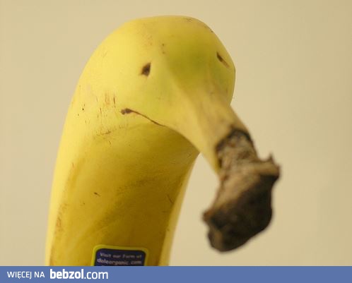 Smucisz banana