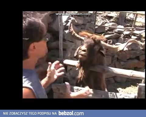 Tak się czuje, gdy chcę złożyć reklamacje w banku