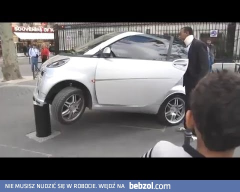 Mistrzowie parkowania