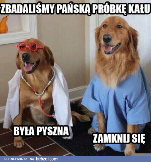 Psi doktorzy
