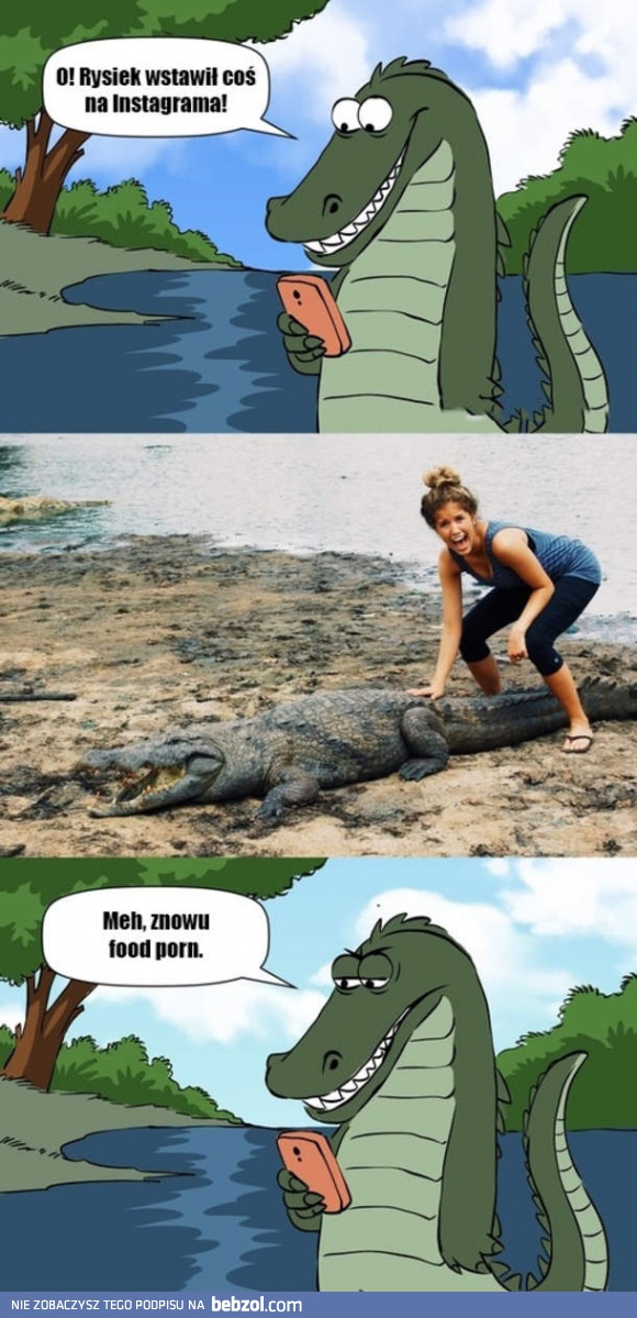 Instagram dla aligatorów