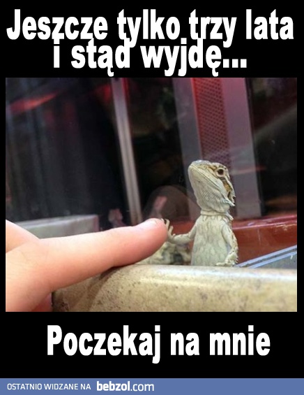 Poczekaj na mnie