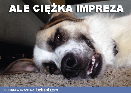 Ciężka impreza