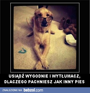 Wytłumacz się