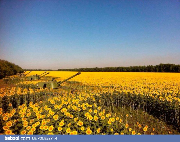 Rolnictwo na Ukrainie kwitnie
