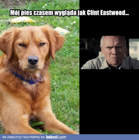Clint Pieswood 