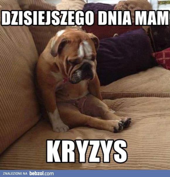 Poniedziałki są do kitu