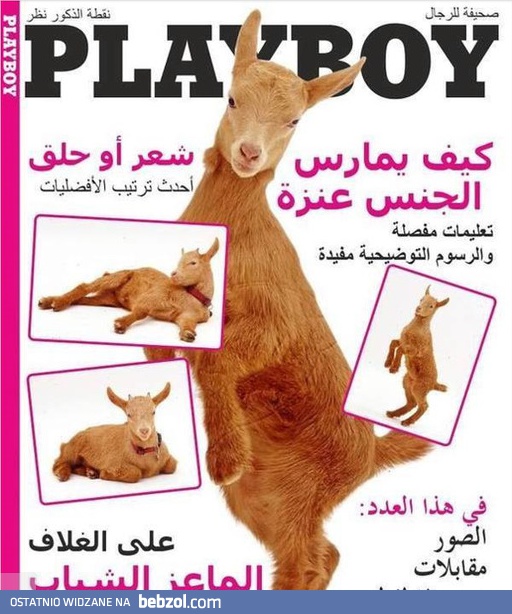 Playboy Wersja Arabska