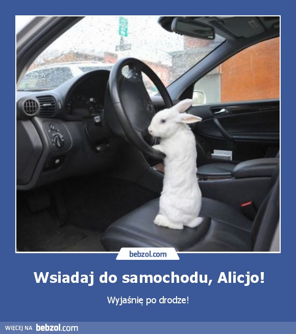 Wsiadaj do samochodu, Alicjo!