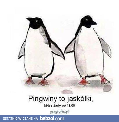 Tajemnica pingwinów