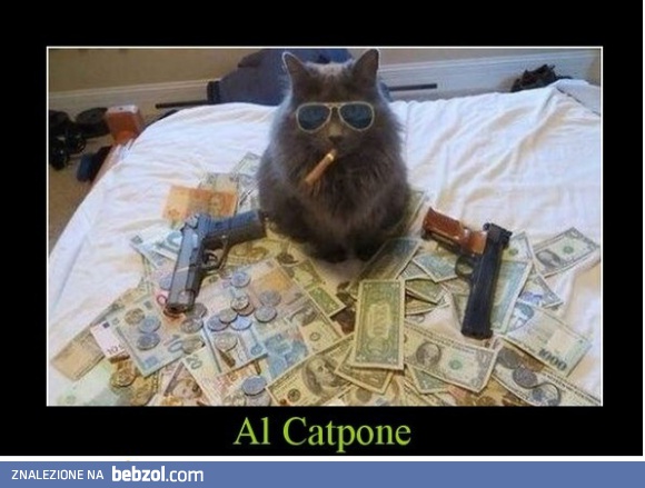 Al Catpone