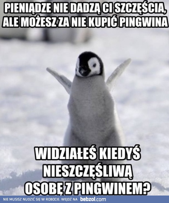 Dlaczego pingwiny dają szczęście