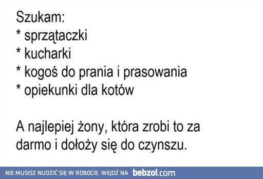 Szukam