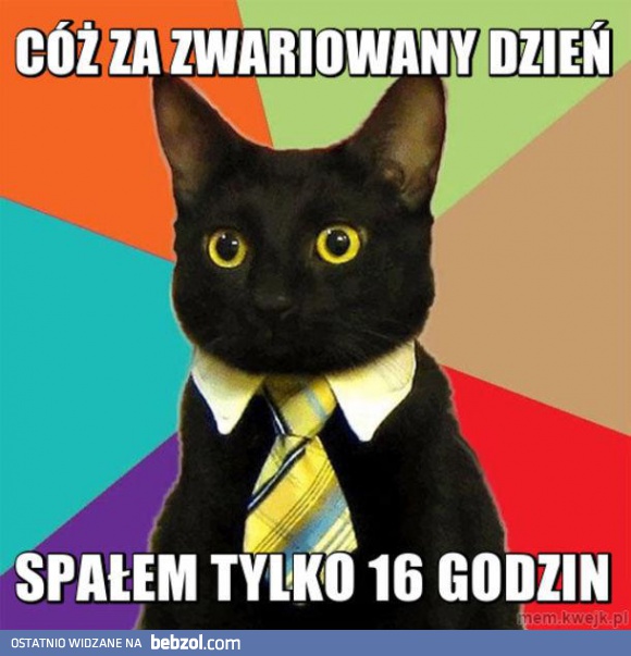 Spałem tylko