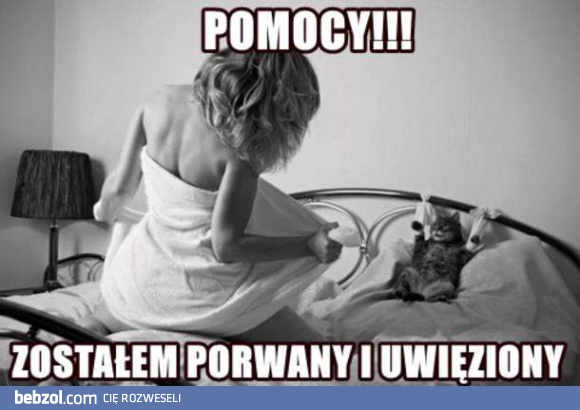 Pomocy