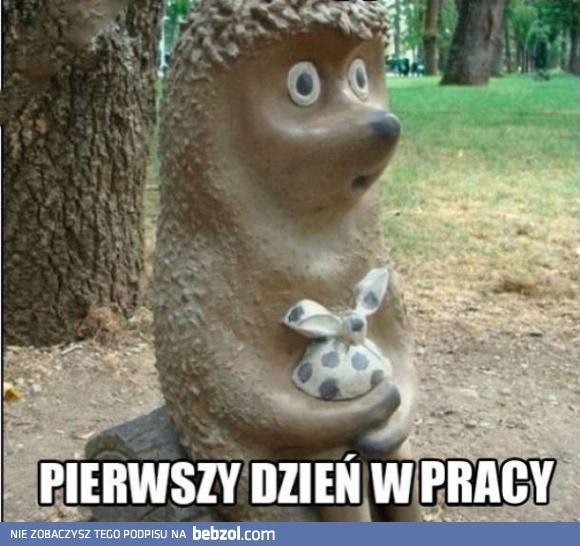 Pierwszy dzień w pracy