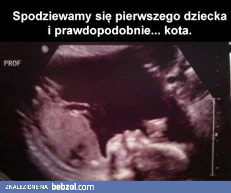 Spodziewamy się