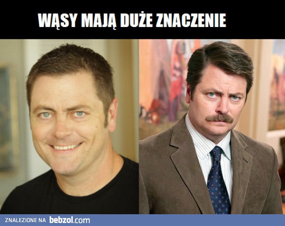 Wąsy mają duże znaczenie