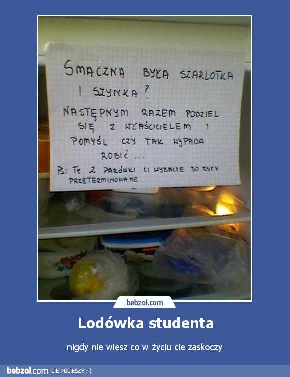 Lodówka studenta