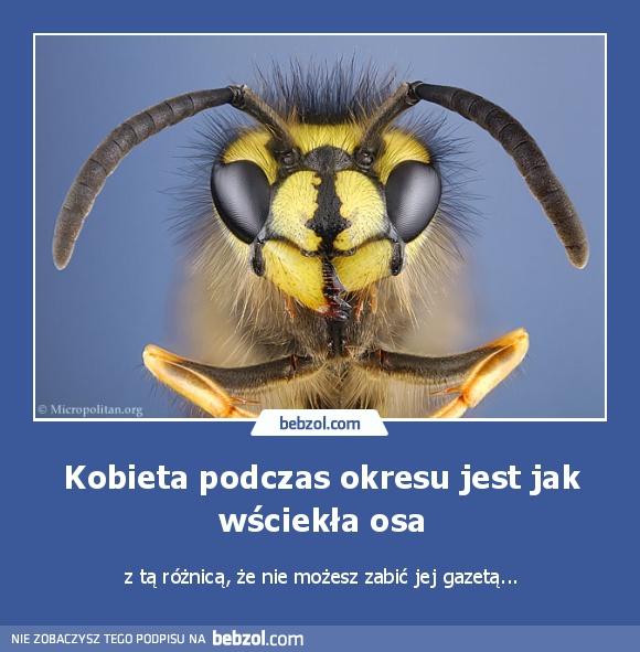 Kobieta podczas okresu jest jak wściekła osa