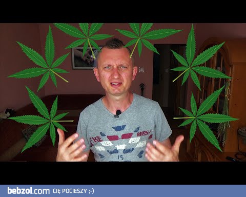 Zamiast Mocarza zapal Konopie