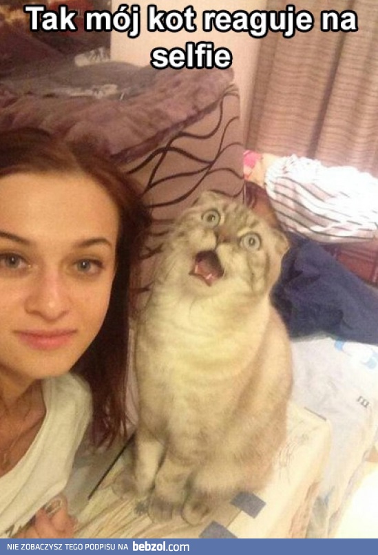 Selfie z kotem
