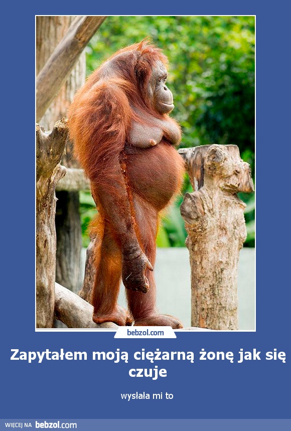 Zapytałem moją ciężarną żonę jak się czuje