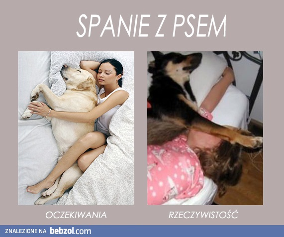 Spanie z psem