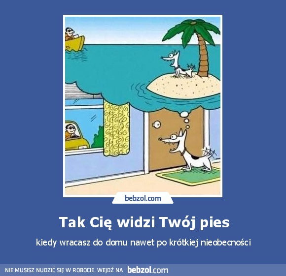 Tak Cię widzi Twój pies