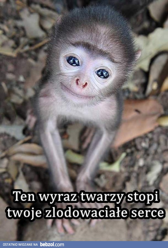 Ten wyraz twarzy