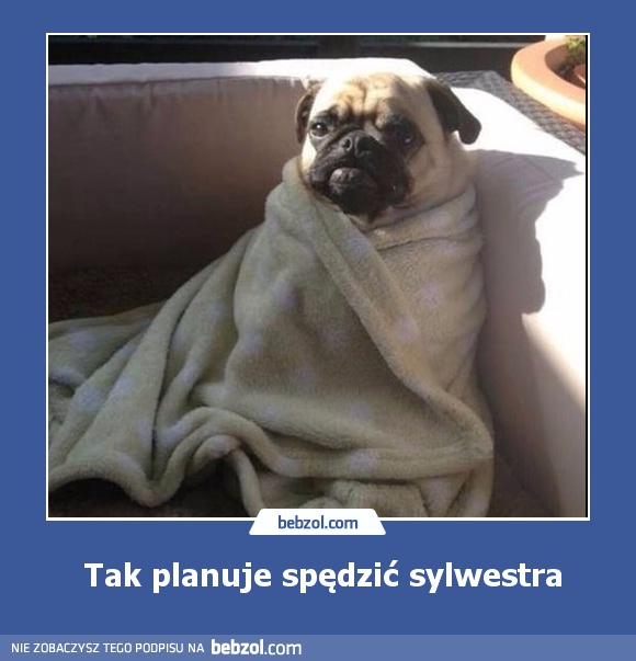 Tak planuje spędzić sylwestra