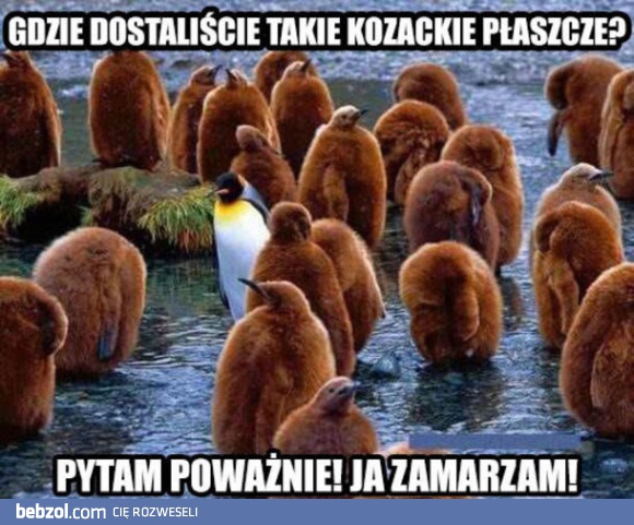 Ale macie fajne płaszcze!