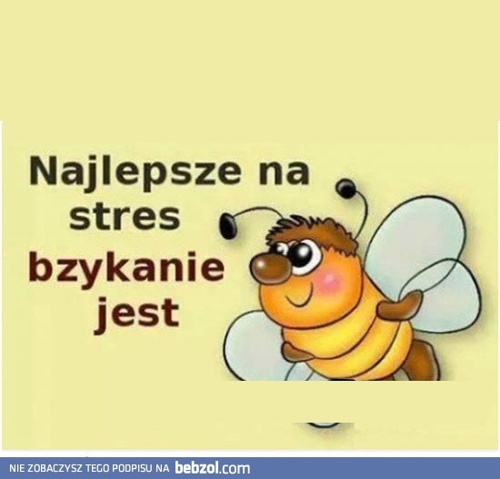 Najlepszy sposób na stres