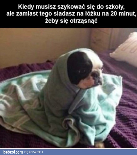 Dochodzę do siebie