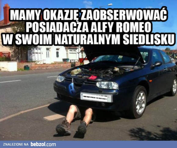 Posiadacz Alfy