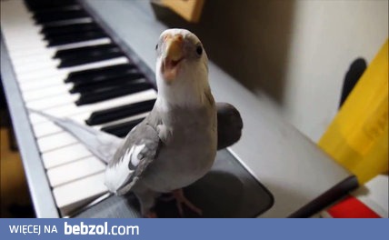 Urocza nimfa śpiewa piosenkę z filmu: 