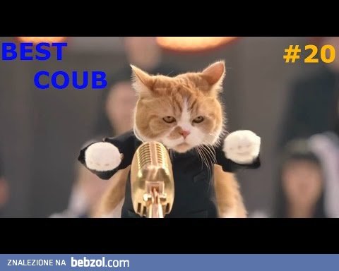 Kompilacja krótkich filmików