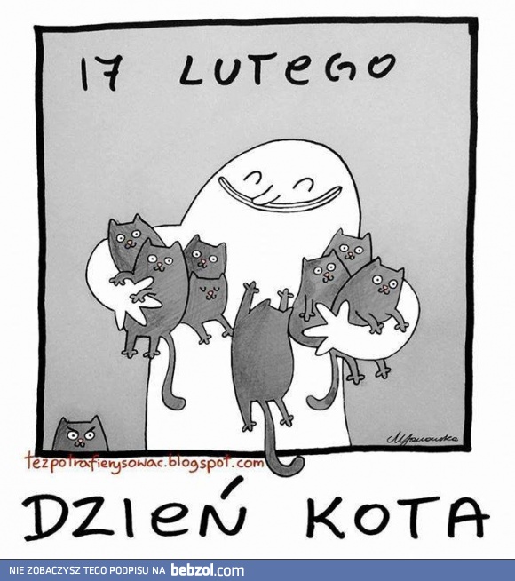 Dzień kota