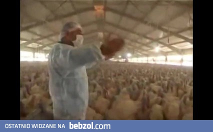 Przygotowania PiS do kolejnej miesięcznicy