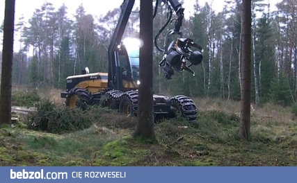 Szybka wycinka drzew przy pomocy maszyny Kesla 28RH.