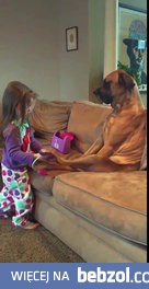 Cierpliwy pies i mała dziewczynka